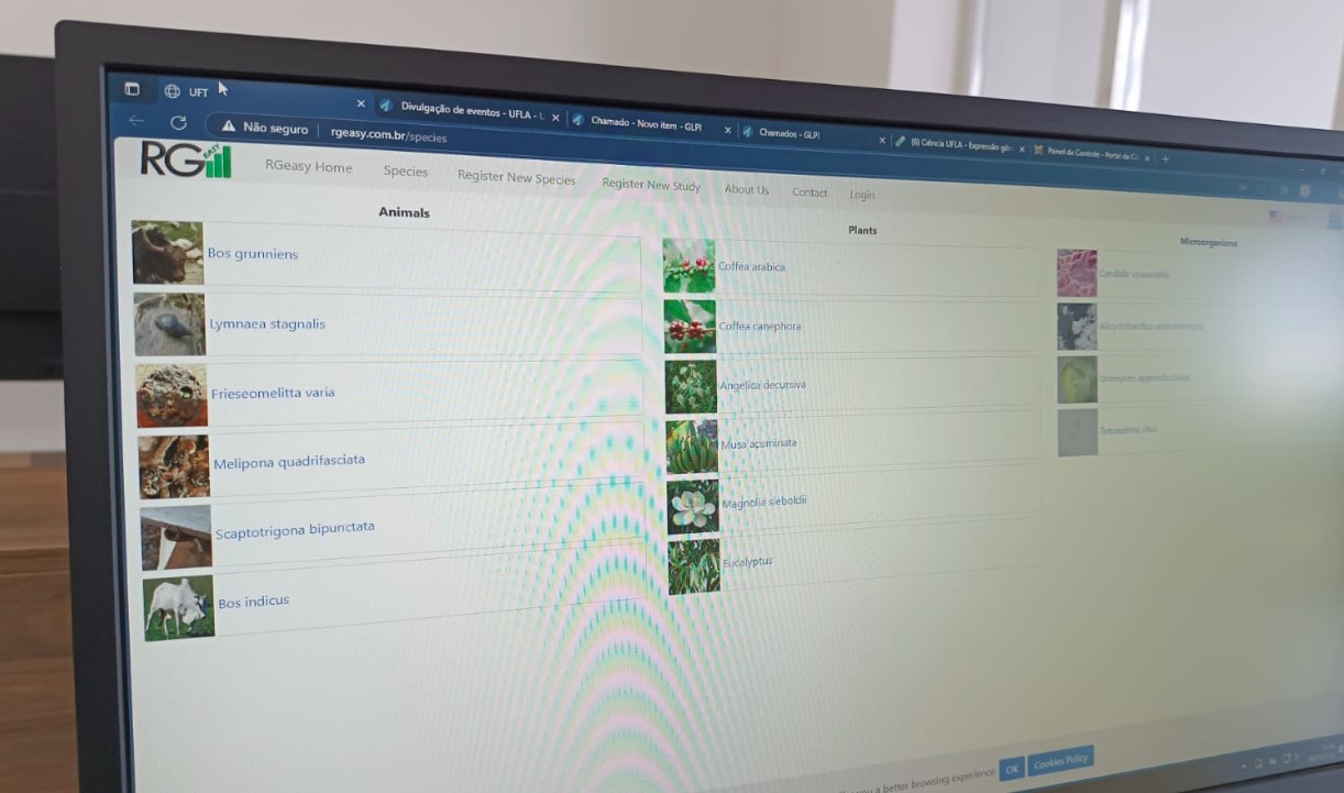 Pesquisadores da UFLA e UFT desenvolvem ferramenta inovadora e gratuita para análise genética